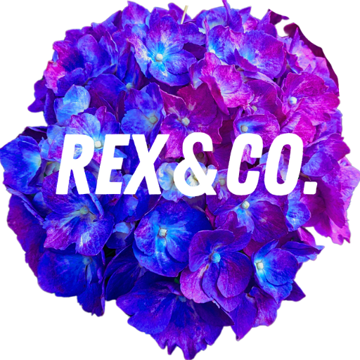 Rex & Co. (fka Laura Bo Creative)